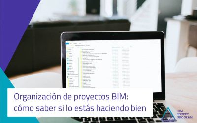 Organización de proyectos BIM: cómo saber si lo estás haciendo bien