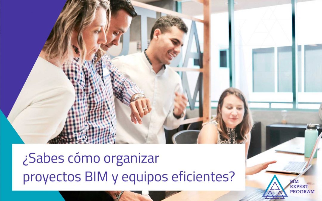 ¿Sabes cómo organizar proyectos BIM y equipos eficientes?